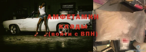прущие грибы Карталы