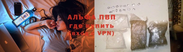 прущие грибы Карталы