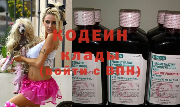 прущие грибы Карталы