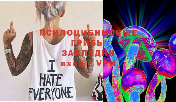 молекула духа Касимов