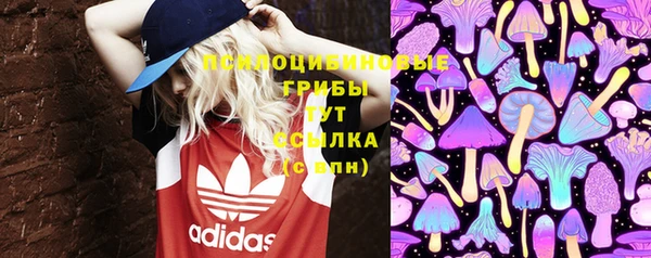 MDMA Premium VHQ Карпинск