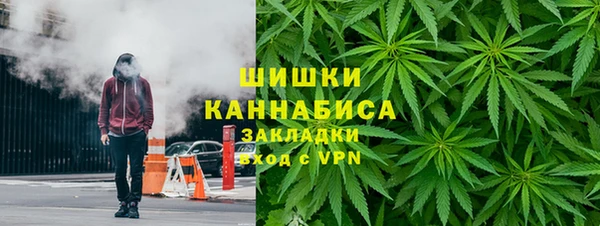 прущие грибы Карталы