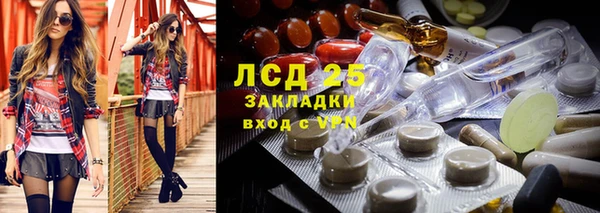 прущие грибы Карталы
