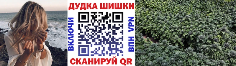 Купить закладки  Зверево  Конопля индика 